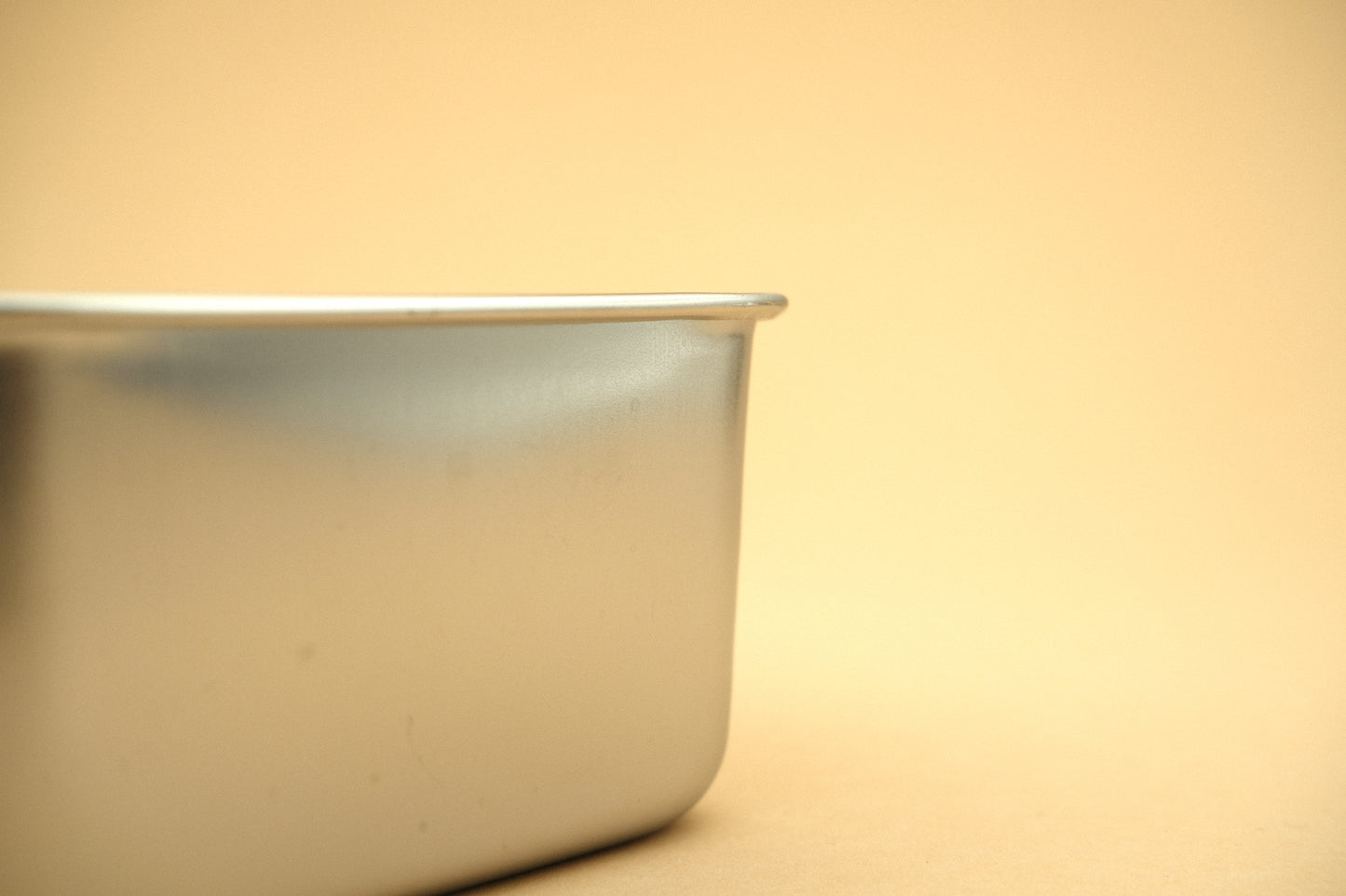 Stainless steel food container